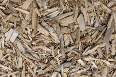 biomass boilers Esgairgeiliog